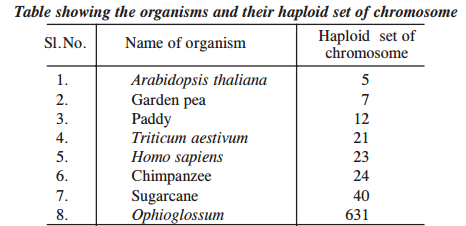 chromosome Gene and genome