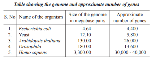 Gene and genome